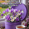댓글 첨부 이미지