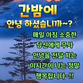 댓글 첨부 이미지
