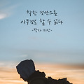 '착한건 개인의 재앙이' 글에 포함된 이미지