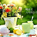 댓글 첨부 이미지