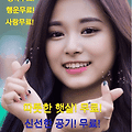 댓글 첨부 이미지