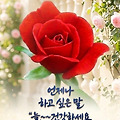 댓글 첨부 이미지
