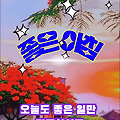 댓글 첨부 이미지