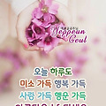 댓글 첨부 이미지