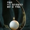 댓글 첨부 이미지