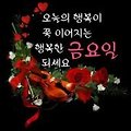 '금요일..! 하는 일마' 글에 포함된 이미지