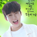 댓글 첨부 이미지