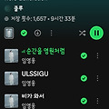 댓글 첨부 이미지