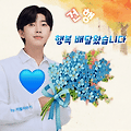 댓글 첨부 이미지
