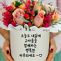 댓글 첨부 이미지