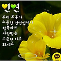 댓글 첨부 이미지