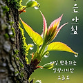 댓글 첨부 이미지