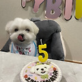 댓글 첨부 이미지