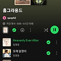 댓글 첨부 이미지
