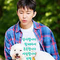 댓글 첨부 이미지