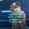 댓글 첨부 이미지