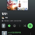 댓글 첨부 이미지