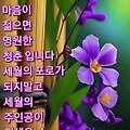 댓글 첨부 이미지
