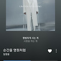 댓글 첨부 이미지