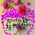 댓글 첨부 이미지