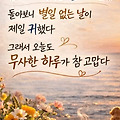 댓글 첨부 이미지