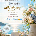 댓글 첨부 이미지