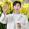 댓글 첨부 이미지