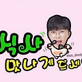 댓글 첨부 이미지