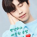 댓글 첨부 이미지