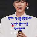 댓글 첨부 이미지