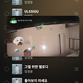 댓글 첨부 이미지