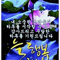 댓글 첨부 이미지