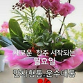 댓글 첨부 이미지