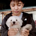 댓글 첨부 이미지