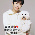 댓글 첨부 이미지