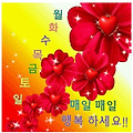 댓글 첨부 이미지