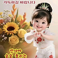 댓글 첨부 이미지