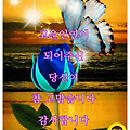 댓글 첨부 이미지