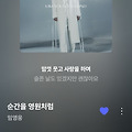 댓글 첨부 이미지