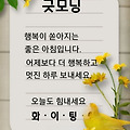 댓글 첨부 이미지
