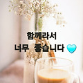 댓글 첨부 이미지