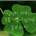댓글 첨부 이미지