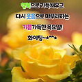 댓글 첨부 이미지