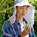 댓글 첨부 이미지