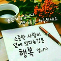 댓글 첨부 이미지