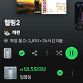 댓글 첨부 이미지