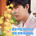 댓글 첨부 이미지