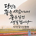 댓글 첨부 이미지
