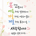 댓글 첨부 이미지