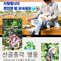 댓글 첨부 이미지